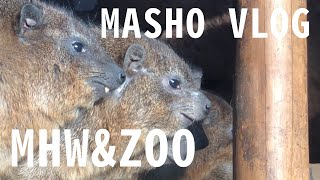 【VLOG】モンハンワールドと天王寺動物園