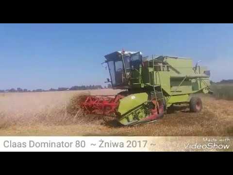 Claas Dominator 80 ~ Żniwa 2017