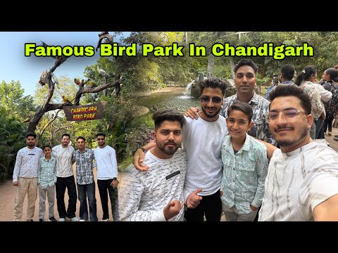 Famous Bird Park In Chandigarh | Full Enjoy | Akshit Thakur Vlogs