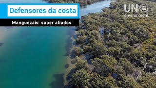 Miniatura do vídeo
