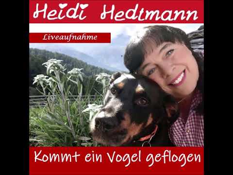 Kommt ein Vogel geflogen   Heidi Hedtmann