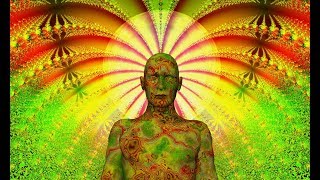 Terence McKenna - We Are All Luminous Beings