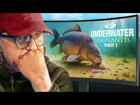 Korda UNDERWATER - Carplantis Part 1 | Carp Fishing 2025