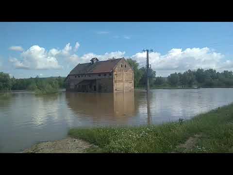 Moara Concordia | Râul Caraș . Vrani . 19.06.2020