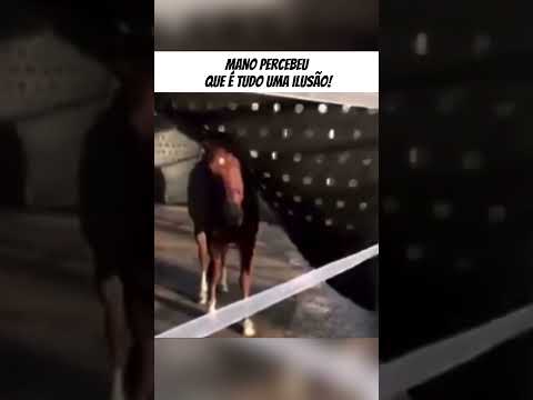 Mano percebeu que é tudo uma ilusão.