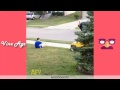 Top10 Funny Vedio Afv Most Funny Video Afv Funniest Videos 2014 New Full Episodes