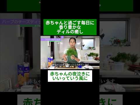 医療ビジネス薬科学科 🌿赤ちゃんと過ごす毎日に 香り豊かなディルの癒し🌿#shorts #ハーブ #体質改善 #ディル #フェンネル