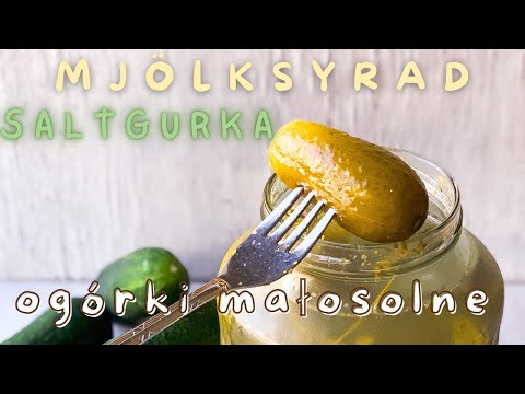 Polsk mjölksyrad saltgurka - Ogórki małosolne 🥒🇵🇱