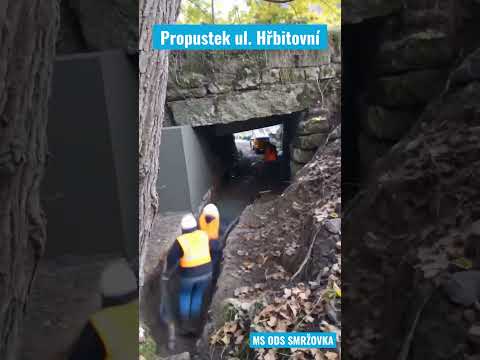 Přehrát proměnu 2