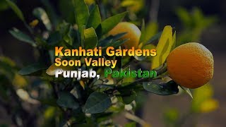 preview picture of video 'Kanhatti Garden Soon Valley | District Khushab, Punjab, Pakistan| Tourism in Pakistan | Vlog |FNCTV'