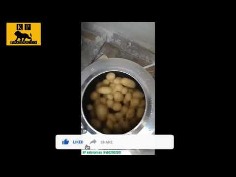 Potato Piller Machine