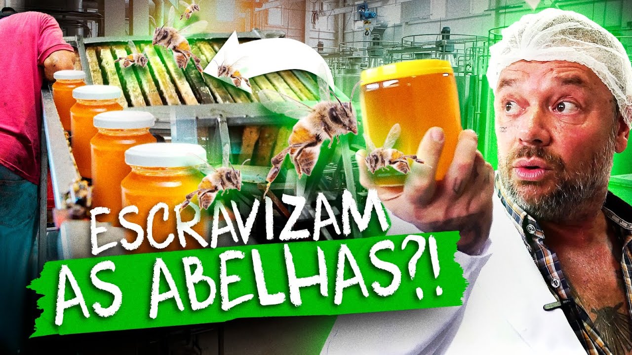 ESSA É A MAIOR PRODUÇÃO DE MEL DE ABELHA PURO QUE JÁ VI!