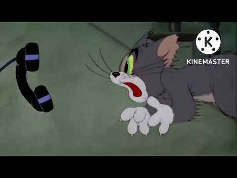 Classic Cartoon l  Tom & Jerry l munni cartoons
