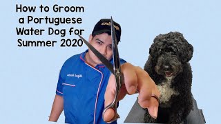 Grooming a Portuguese Water Dog / Dog Grooming in Queens NY by Miguel Garcia, Dalilas Pet Grooming