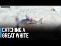 Wild video shows fisherman reel in great white shark — 'tis the season in Mass.!