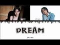 Haewon NMIXX, Lee Mujin - DREAM (Cover) Lyrics HAN/ROM/ENG