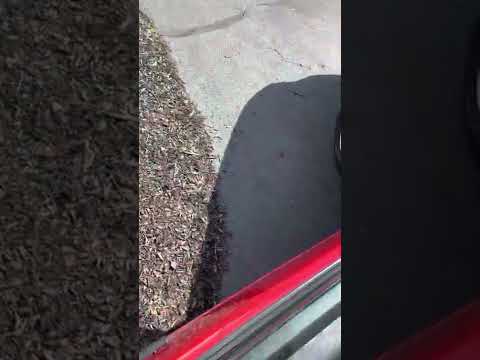 1988 Chevrolet Camaro IROC-Z (CC-1586110) for sale in Middletown, New Jersey