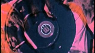 wildhoney - seventeen