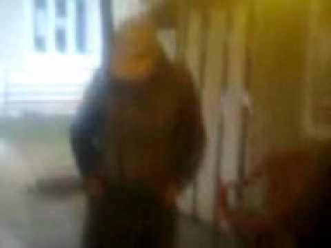 cei mai mari dansatori din ibanesti, vaslui