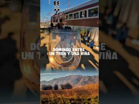DOMINGO ENTRE UN #TREN Y UNA #VIÑA: #treneschilenos #Molina #curicó #viñedos #traveler