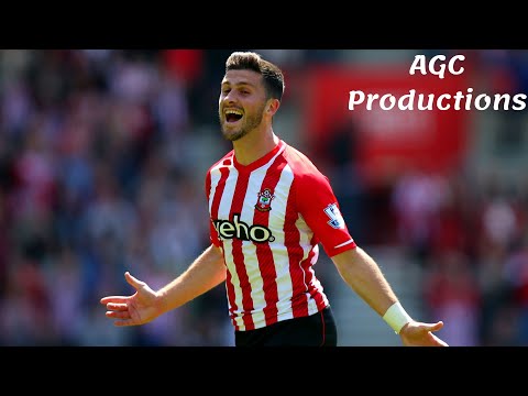 Shane Long's 37 goals for Southampton FC