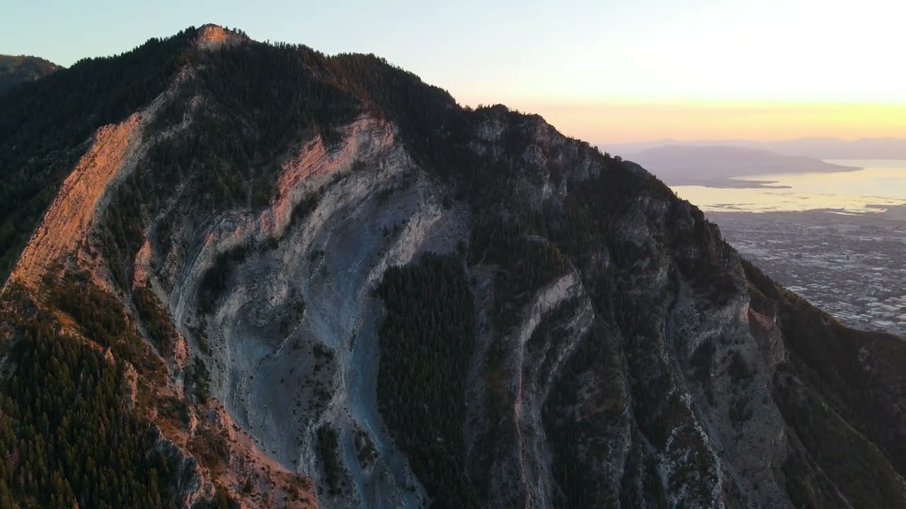 Aerial clip