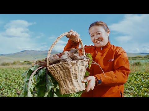 Catalyzing digital agriculture in Mongolia: Enhancing vegetable production