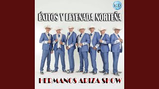 Declaracion