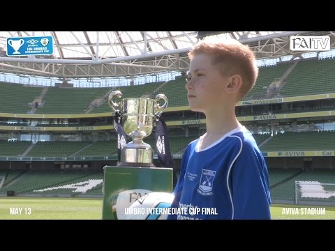 FAI Umbro Intermediate Cup Final 2017