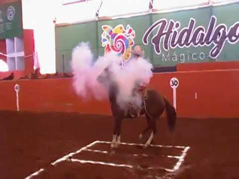 Piales de Martin Perea, Charro completo Pachuca 2017.