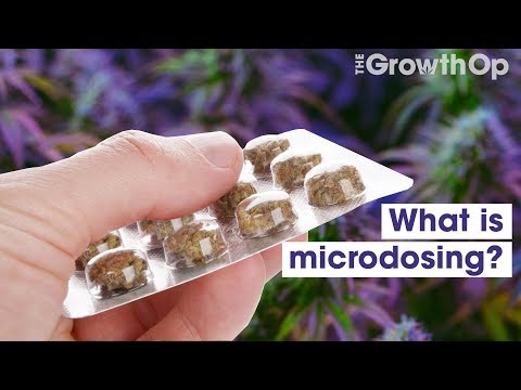 What is microdosing for cannabis? | Weed Easy