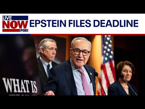 Video | Democrats speak as Epstein files deadline looms