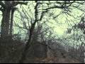 COLOURMUSIC - YES