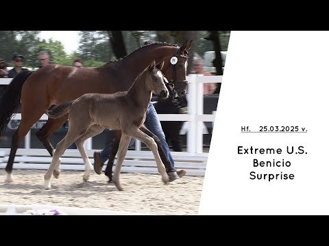 Hf v Extreme U S x Benicio x Surprise 2025
