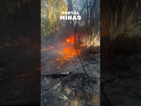 Queda de avião da PMMG: três mortos em acidente no Vale do Aço