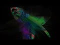 GRNDPRNZP Mix No 1