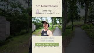 【蓼科 Vlog】 SANU 山荘・地元野菜で作る家族ディナー#shorts