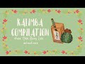 Kalimba Compilation "Through the Seasons" | Avatar, Ghibli, Miraculous, Final Fantasy, Zelda, Disney