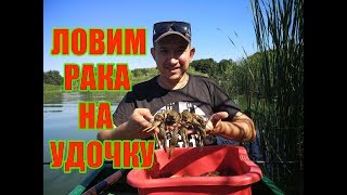 Как ловят рака на удочку