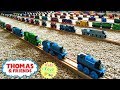 Thomas Wooden Railway Collection! Big Thomas the Tank Engine collection!