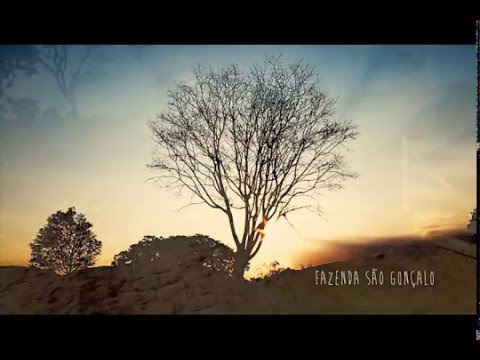 FAZENDA SÃO GONÇALO