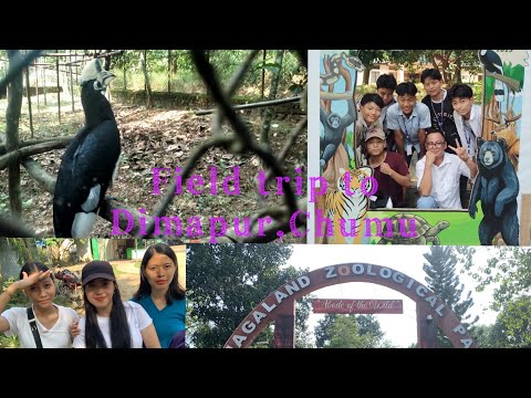 Class 10a Dbhss field trip to Zoological  park and Green park.Chumu,Dimapur…