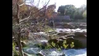 preview picture of video 'Sandra en el rio Hualahuises'