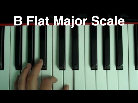 B Flat Major Scale Piano #pianotutorialforbeginners 