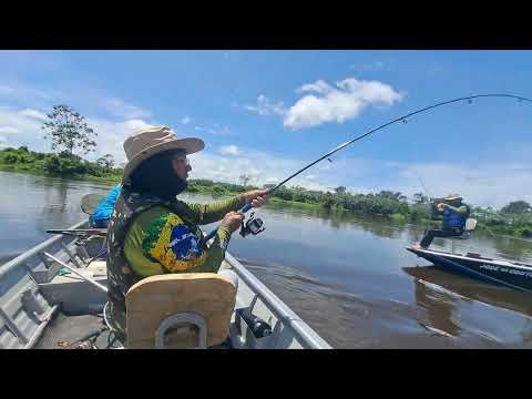 Minervino pegando um cachara no Rio Jauru, Pantanal do Mato Grosso. 16/03/2026