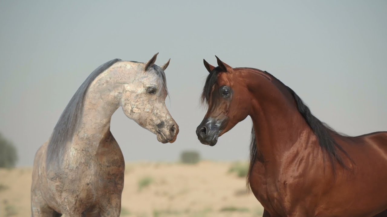 ⚜️ FA EL RASHEEM ⚜️ The Revolution