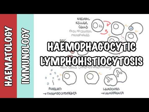 Lymphohistiocytose hémophagocytaire - cause, physiopathologie, diagnostic et traitement