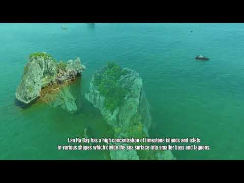 LAN HA BAY enSUB  16 10 2019