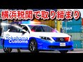 Japanese Customs Patrol Aurion 3
