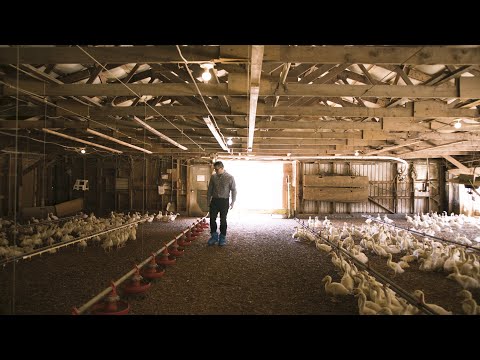 Farm to Family, with Jared Webster and Trouw Nutrition